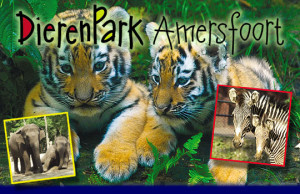 dierenpark-amersfoort